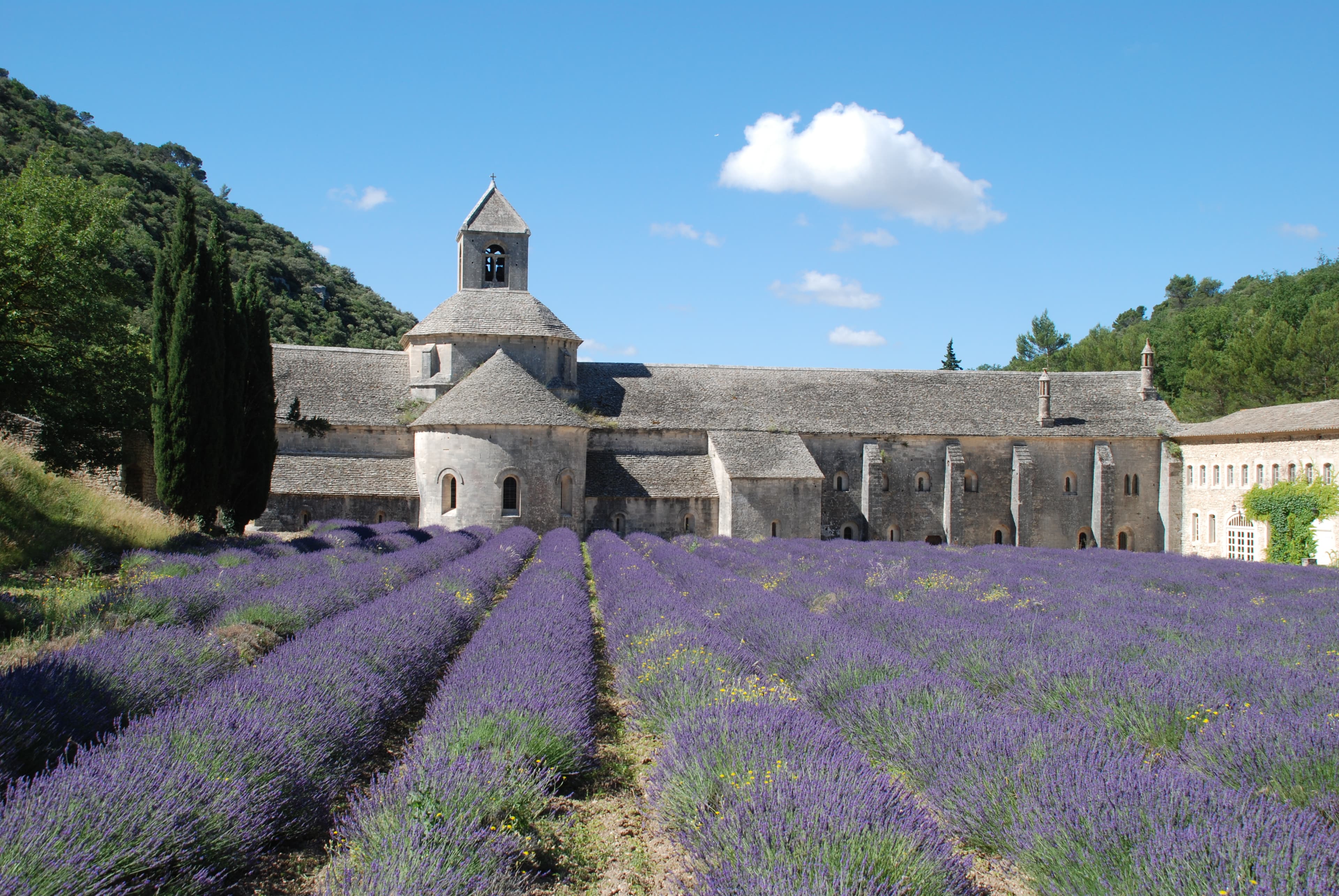 image représentative de la chanson Jésus est né en Provence