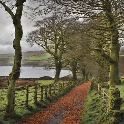 image représentative de la chanson La ballade nord-irlandaise