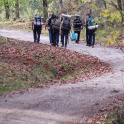 image représentative de l'article L'appel de la route