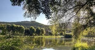 image représentative de la chanson Ma Saintonge