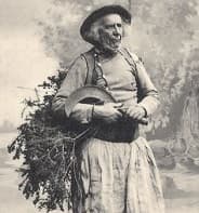 image représentative de la chanson Silvestrik (Fr)