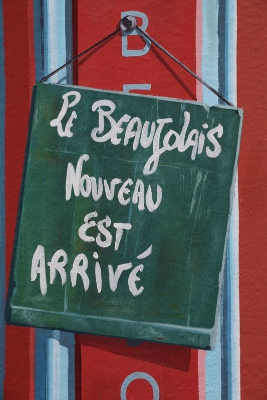 photo ou image de l'évènement La Fête du Beaujolais Nouveau