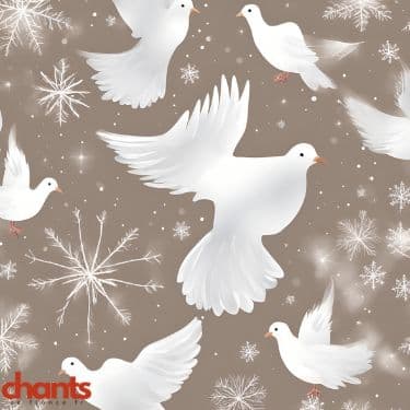 image représentative de la chanson Dors ma colombe (Noël d'Alsace)