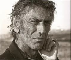 Photo de l'univers Marins 