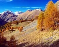 Photo de l'univers Carnets de chants Vallée de la Roya : Chants traditionnels français