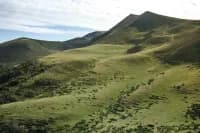 Photo de l'univers Carnets de chants en Auvergne Limousin