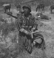 Photo de l'univers Carnets de chants Afrique et traditions musicales