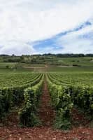 Photo de l'univers Carnets de chants Bourgogne et Beaujolais