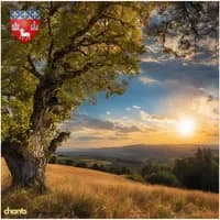 Photo de la chanson Se Canto (Toulouse)