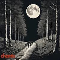Photo de la chanson La lune est claire