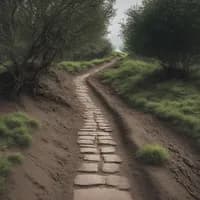 Photo de la chanson Route claire