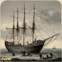 Photo de la chanson The Wellerman