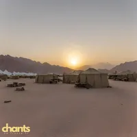 Photo de la chanson Djebels