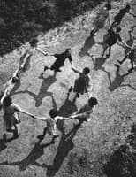 Photo de la chanson Nous n'irons plus au bois