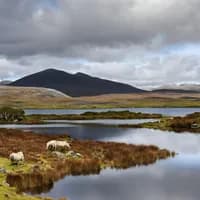 Photo de la chanson Les lacs du Connemara