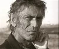 Photo de la chanson Loup solitaire