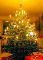 Photo de la chanson Mon beau sapin 