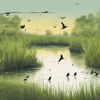 Photo de la chanson Au bord de la rivière