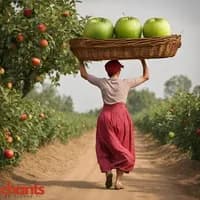 Photo de la chanson Il était une fermière