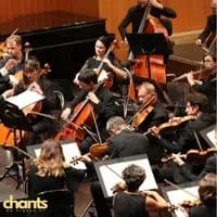 Photo de la chanson L'orchestre (1)