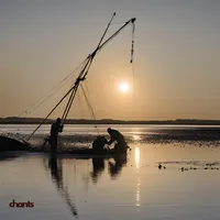 Photo de la chanson A la pêche aux moules