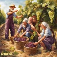 Photo de la chanson Le vin est nécessaire