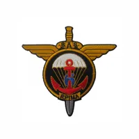 Photo de la chanson Chant du 6ème RPIMa