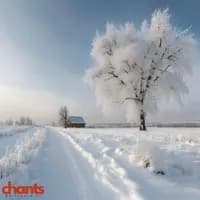 Photo de la chanson Ukraine