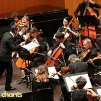 Photo de la chanson L'orchestre (2)
