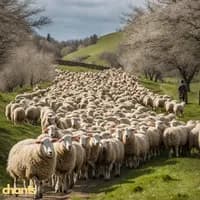 Photo de la chanson Le pastouriau (quand j'étais chez mon père) 