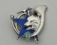 Photo de la chanson Les bataillons bleus