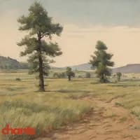 Photo de la chanson Ô Sari Mares