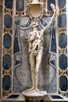 Photo de la chanson Le Prince d'Orange