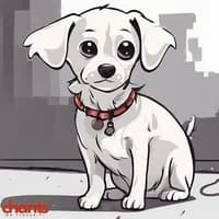 Photo de la chanson Un petit chien