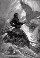 Photo de la chanson Pique la baleine