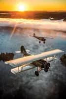 Photo de la chanson L'Oiseau Blanc (Deux aviateurs)