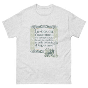 T-shirt - Les lacs du Connemara